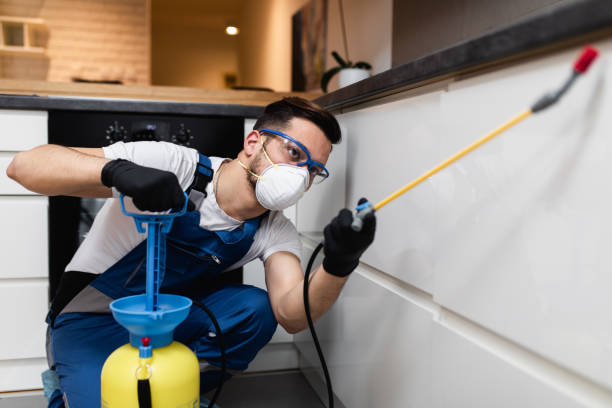 Best Best Pest Control Companies  in Meyers, CA