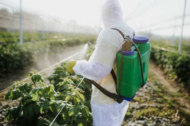 Best Pest Control Near Me  in Meyers, CA